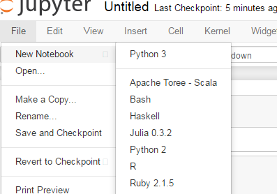 Jupyter Ipython Notebooks Features